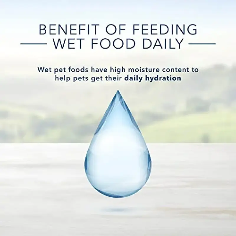 Blue Buffalo Homestyle Recipe Natural Senior Wet Dog Food, Chicken 354g Can (Pack of 12)